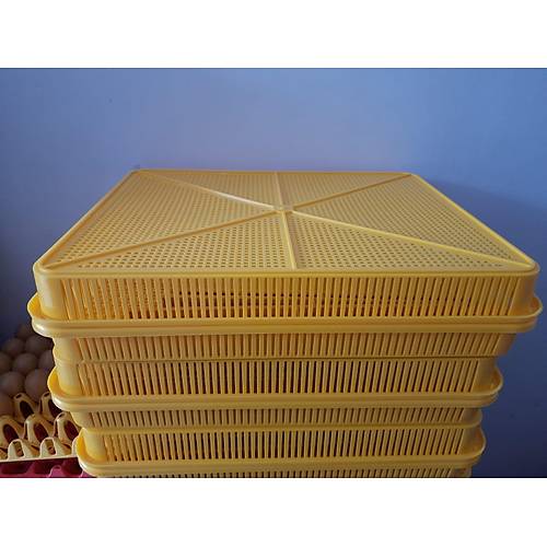 Kulu�ka Geli�im ve Civciv ��k�m Sepeti 