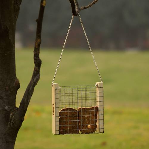 DO�A KU�LARI ���N EKMEKL�K