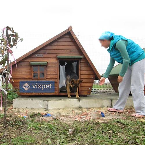 Martin Pencereli ve Sundurmal Kpek Kulbesi 200x100x130