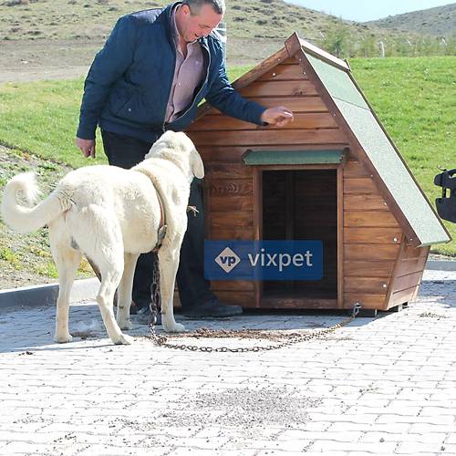 Martin Pencereli ve Sundurmal Kpek Kulbesi 200x100x130