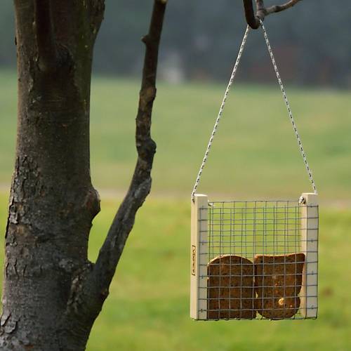 DO�A KU�LARI ���N EKMEKL�K