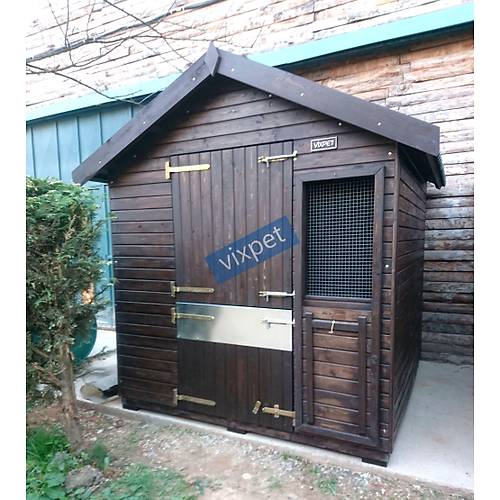 Pony At Ah�r�  200 X 200