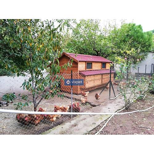 Montana L Tavuk K�mesi 100 Tavuk Bar�nabilir