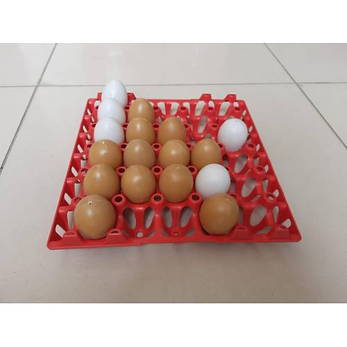 Plastik Yumurta Viyol 30 Yumurta Kapasiteli 33 x 33 cm Sert ve Esnektir