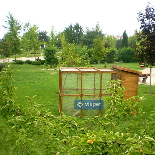 Mathilda Bah�eli Kedi Kul�besi