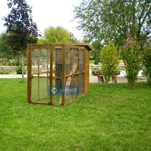 Mathilda Bah�eli Kedi Kul�besi