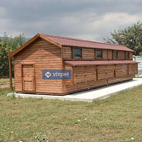 Montana XXL Tavuk Kmesi 200 Tavuk Barnabilir