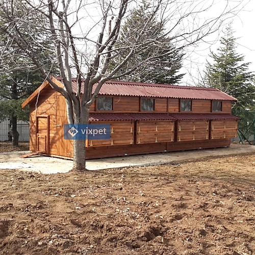 Montana XXL Tavuk Kmesi 200 Tavuk Barnabilir