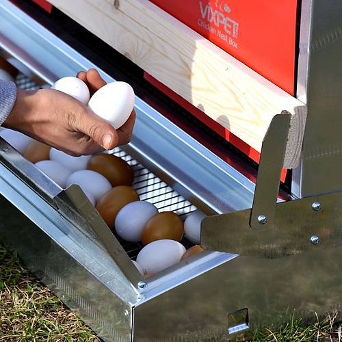 TAVUK FOLLU�U - FOLMAT�K