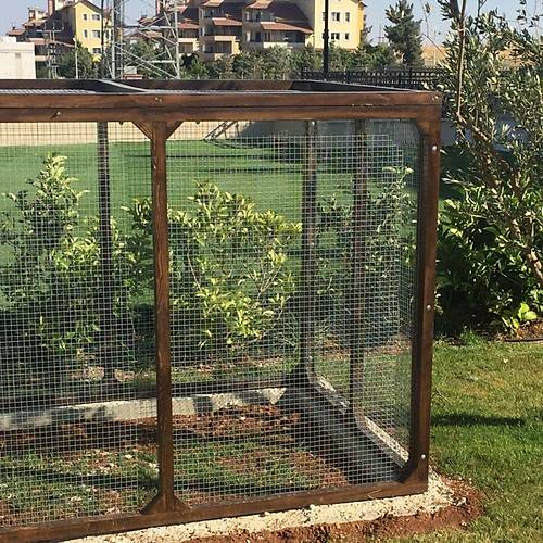 Vixpet Galvanizli Kafes Teli - Boyu 38 cm / stenilen Uzunlukta