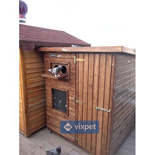 Cosmo G�vercin K�mesi 8 �ift Kapasiteli