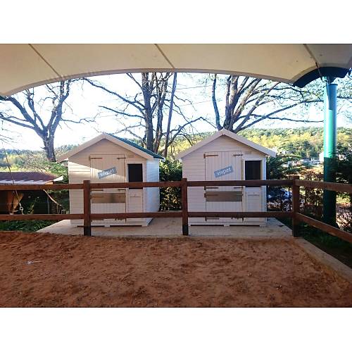 Pony At Ah�r�  200 X 200