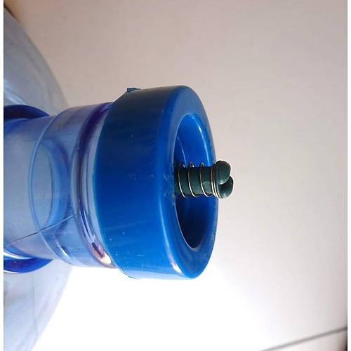 DAMACANA KED� - K�PEK SULU�U 19 LT