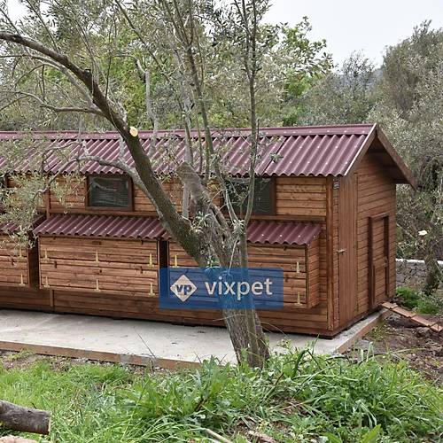 Montana XXL Tavuk Kmesi 200 Tavuk Barnabilir