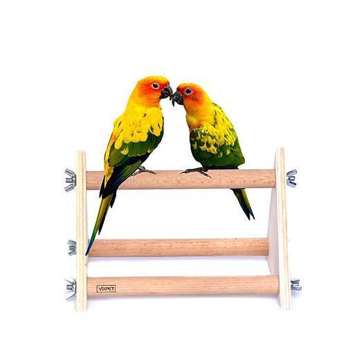 PAPA�AN T�NE�� STANDI ��GEN