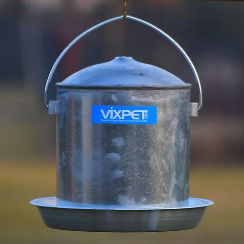 TAVUK SULUKLARI METAL 5 LT