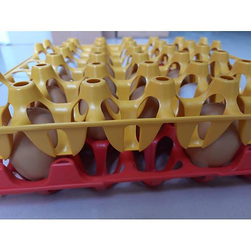 Plastik Yumurta Viyol 30 Yumurta Kapasiteli 33 x 33 cm Sert ve Esnektir