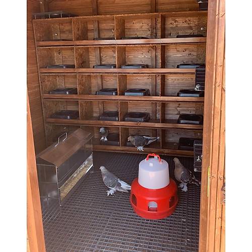 Bellino G�vercin K�mesi 20 �ift Kapasiteli