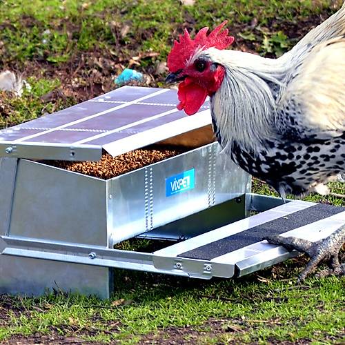 PEDALLI GEZEN TAVUK YEML��� 10 KG