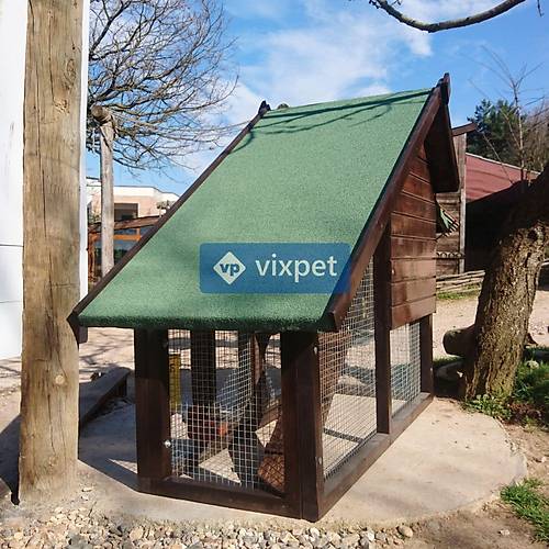 Aden Bah�eli Tavuk K�mesi 3-4 Tavuk Bar�nabilir