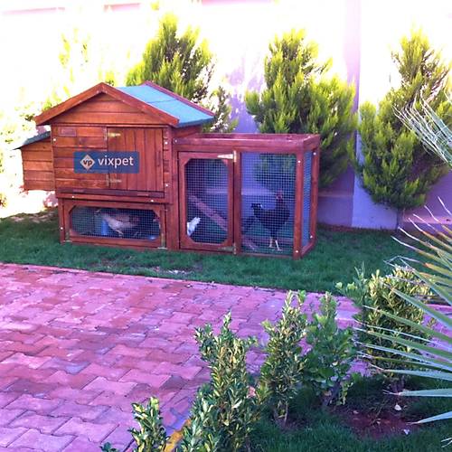 Ares Bah�eli Tavuk K�mesi 5 Tavuk Bar�nabilir