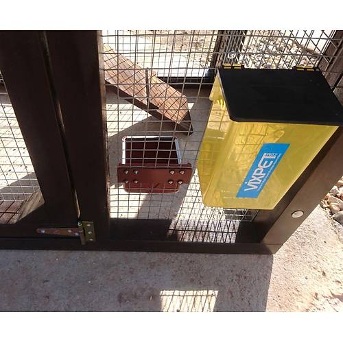 Bunny 1000 ml Tav�an ve Guinea Pig Suluk - CX Yayl� Nipel