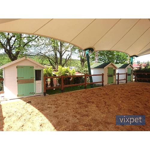 Pony At Ah�r�  200 X 200