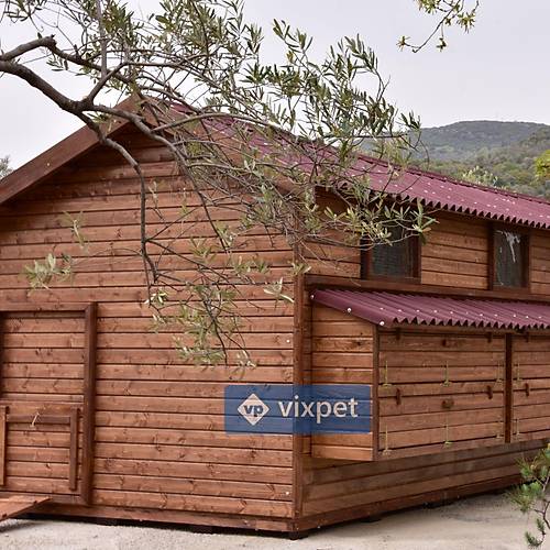 Montana XXL Tavuk Kmesi 200 Tavuk Barnabilir