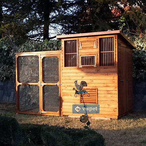 City Salma Kafesli G�vercin K�mesi 15 �ift Kapasiteli