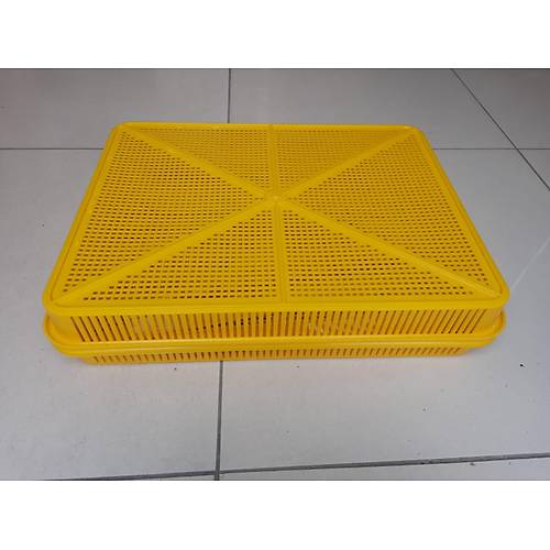 Kulu�ka Geli�im ve Civciv ��k�m Sepeti 