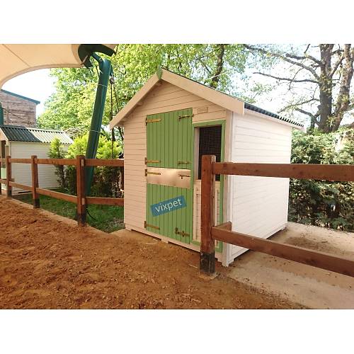 Pony At Ah�r�  200 X 200