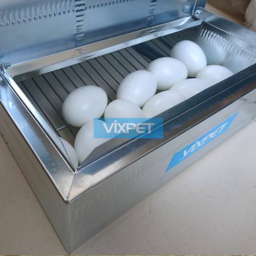 TAVUK FOLLUKLARI /  KL