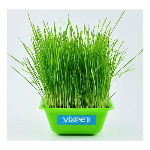 Vixpet Kedi �imi Do�al ve Yumu�ak