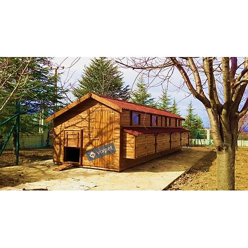 Montana XXL Tavuk Kmesi 200 Tavuk Barnabilir