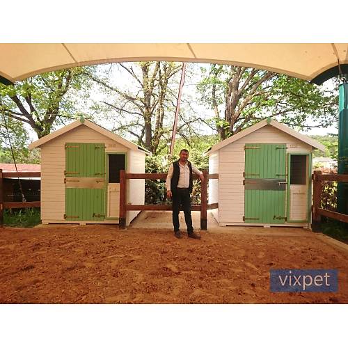 Pony At Ah�r�  200 X 200