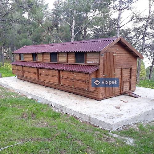 Montana XXL Tavuk Kmesi 200 Tavuk Barnabilir