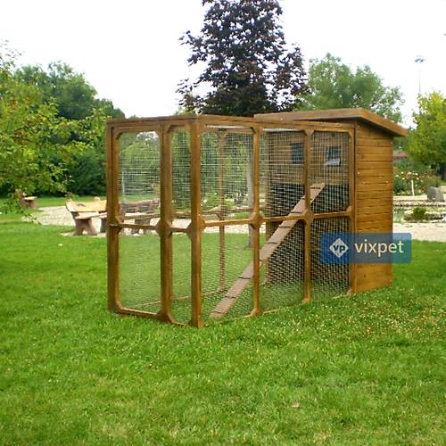 Mathilda Bah�eli Kedi Kul�besi