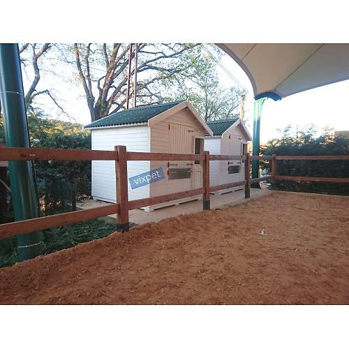 Pony At Ah�r�  200 X 200