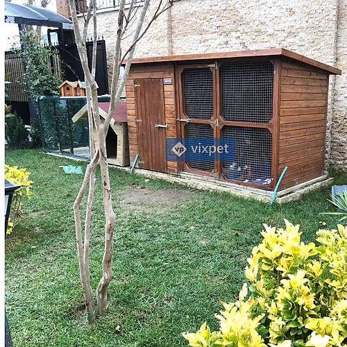 Opera Baheli Kpek Kulbesi