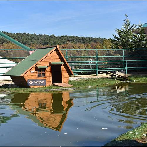 Lake �rdek Evi 4-5 �rdek Bar�nabilir