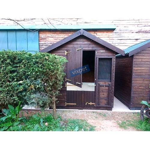 Pony At Ah�r�  200 X 200