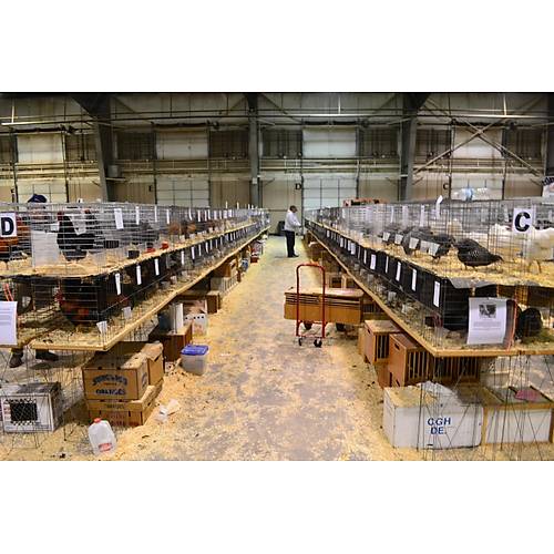 G�steri Kafesi 3 B�lmeli 