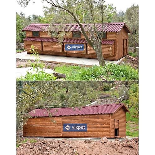 Montana XXL Tavuk Kmesi 200 Tavuk Barnabilir