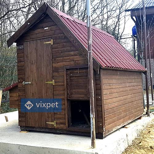 Montana S Tavuk K�mesi 50 Tavuk Bar�nabilir