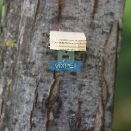 AH�AP G�VERC�N T�NE�� D�Z