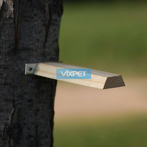 AH�AP �ITA T�NEK