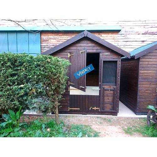 Pony At Ah�r�  200 X 200