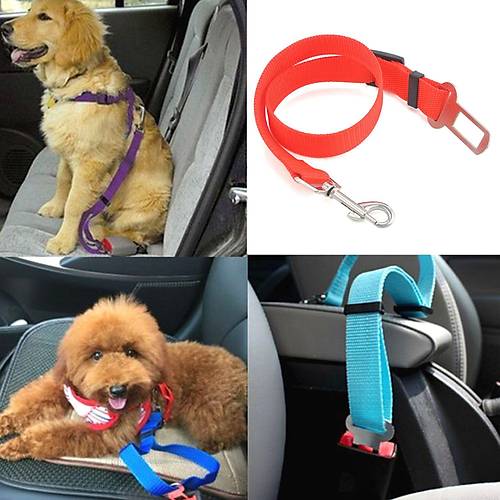 Kedi ve K�pekler ��in Emniyet Kemeri 