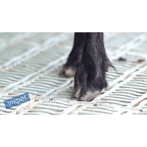 Buza�� ve Ke�i Taban Izgaras�  30 x 40