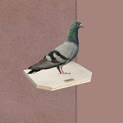 AH�AP G�VERC�N T�NE�� 15X20